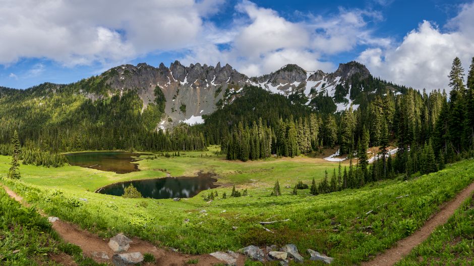 Scenic view of a tranquil alpine lake with mountains and forest in Mount Rainier National Park.